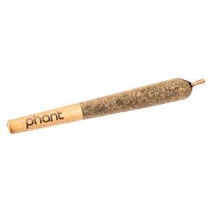 Phant - Orange Cream Diamond Infused Pre-Roll - Hybrid - 1x1g